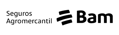 Logo Seguros BAM